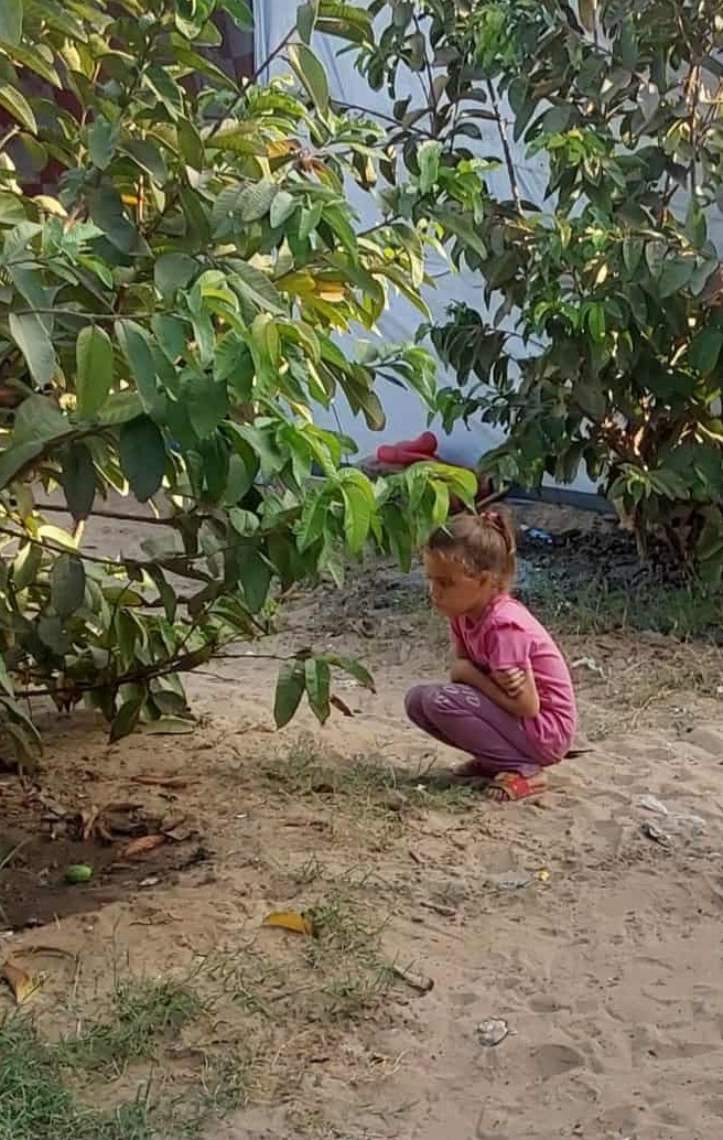 2025年9月14日（日）