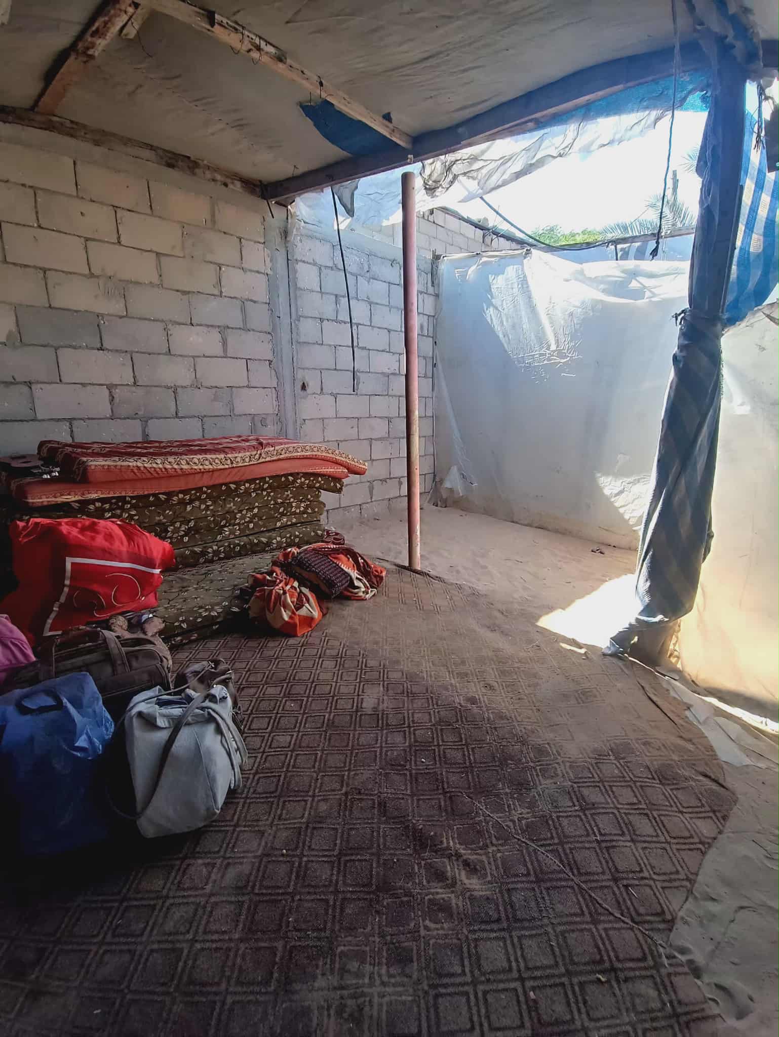 2025年9月28日(日)