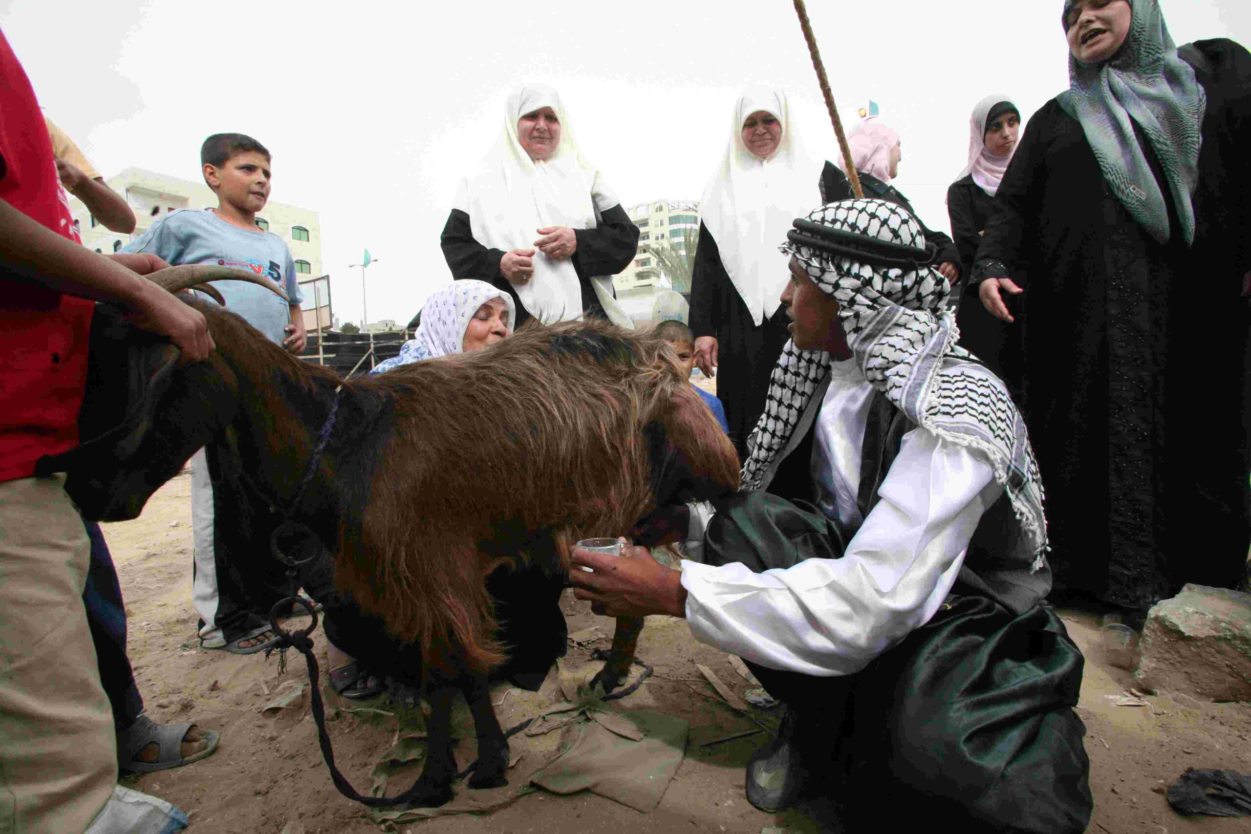 2025年9月23日(火)