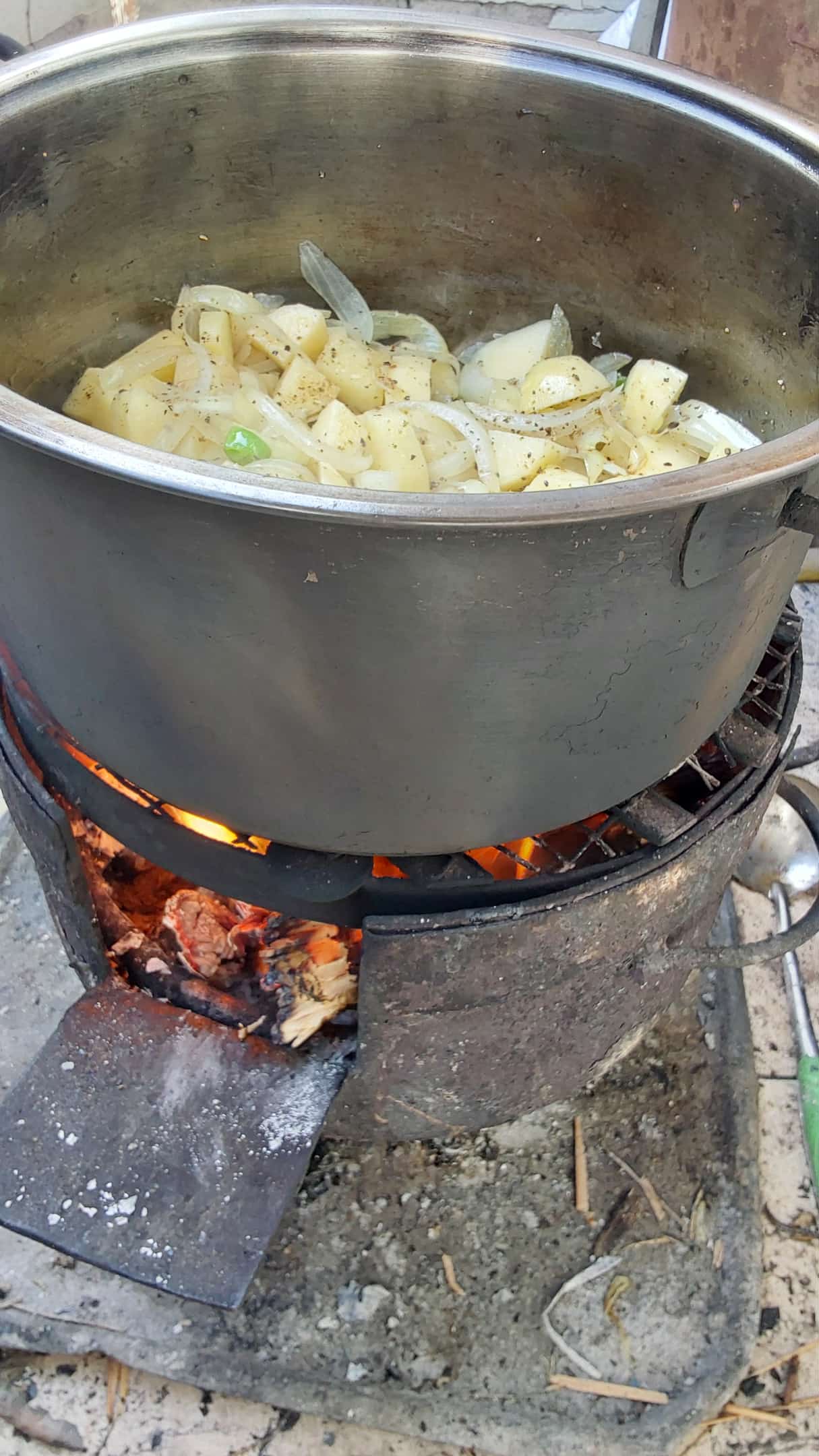 2025年11月16日(日)~11月21日(金)