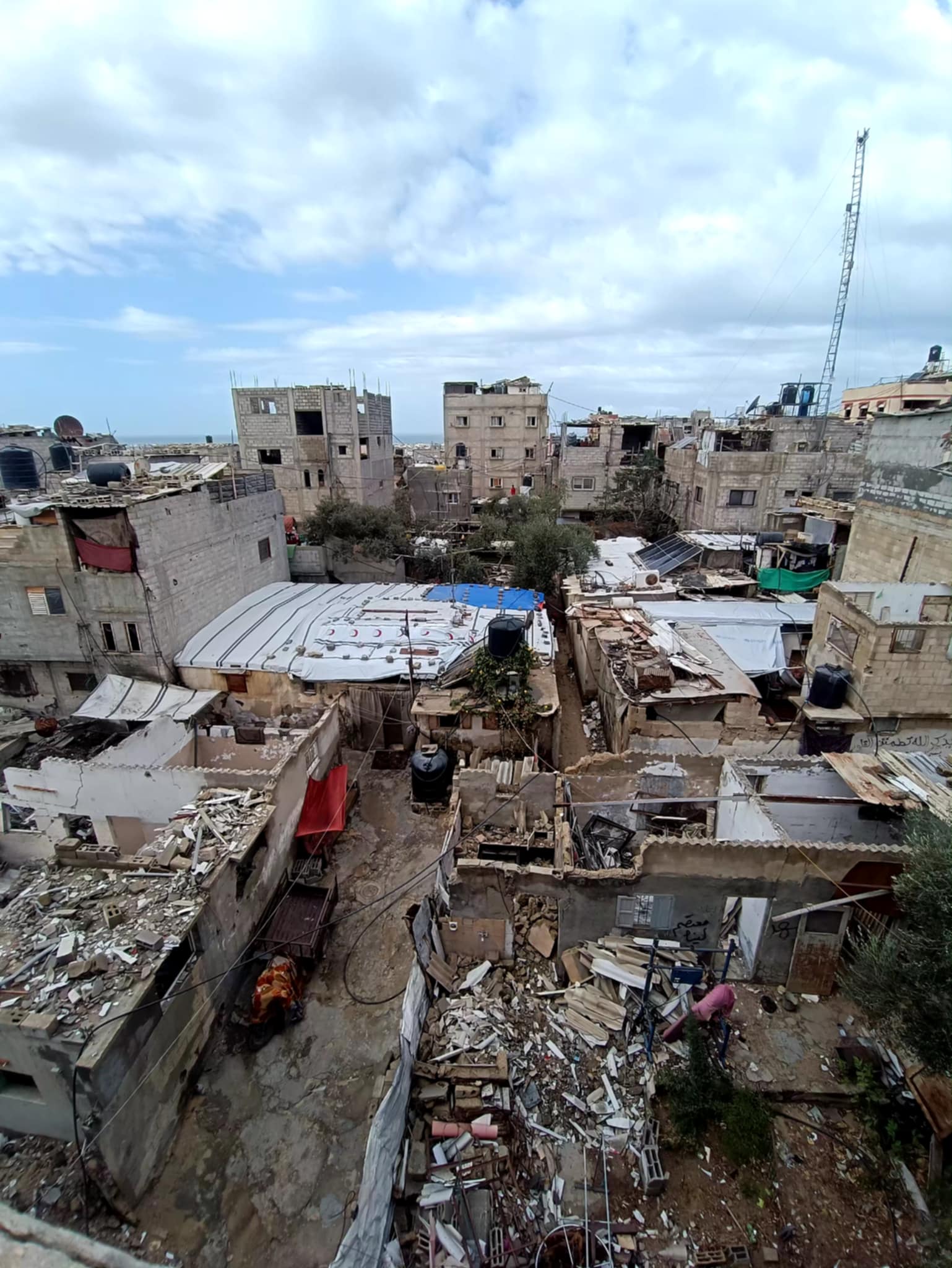 2025年11月22日(日)、11月25日(火)、11月26日(水)