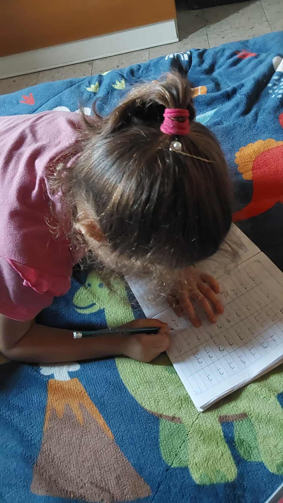 2025年11月3日（月）～11月4日（火）