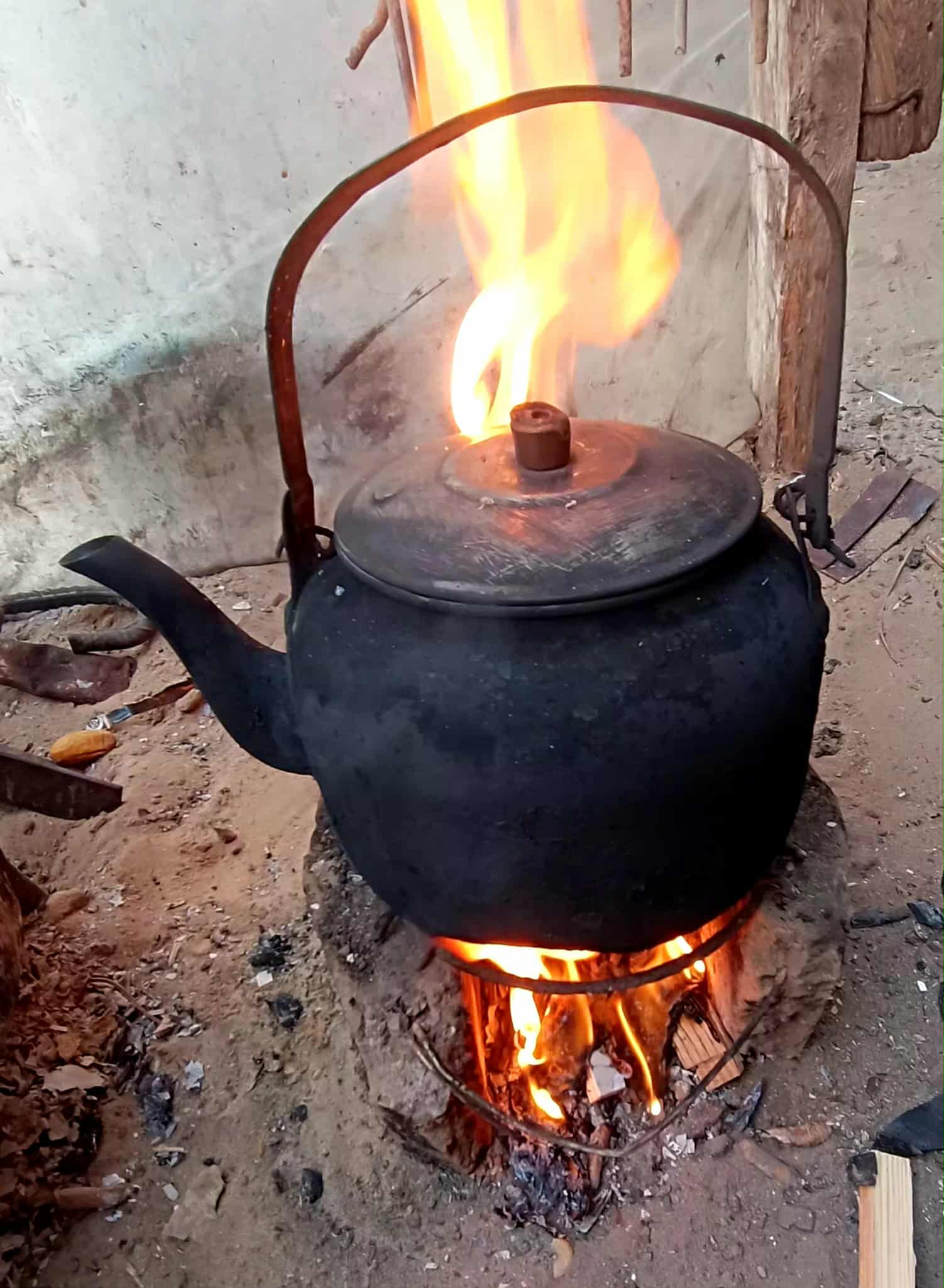 2025年11月19日(水)~11月21日(金)